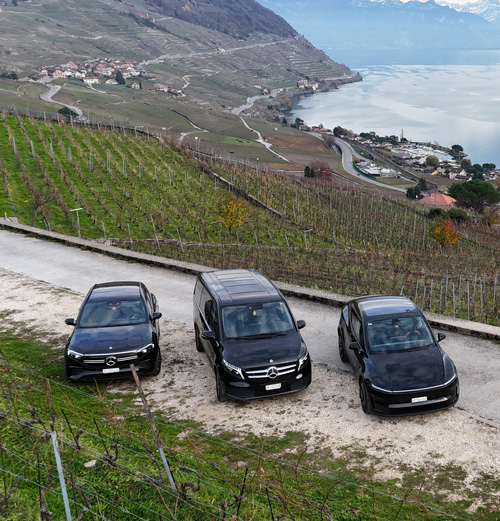 différents modèles de voitures de Magena transports